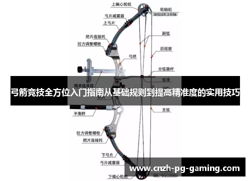 弓箭竞技全方位入门指南从基础规则到提高精准度的实用技巧