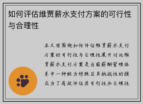 如何评估维贾薪水支付方案的可行性与合理性