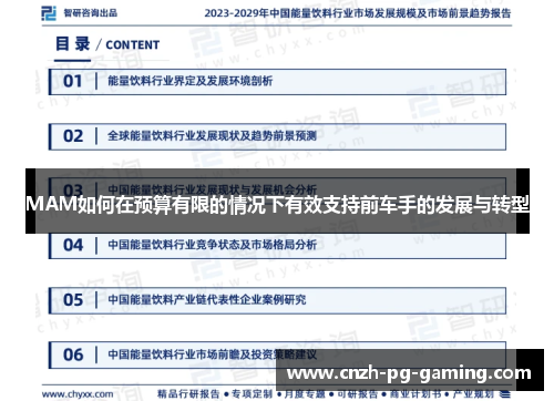 MAM如何在预算有限的情况下有效支持前车手的发展与转型