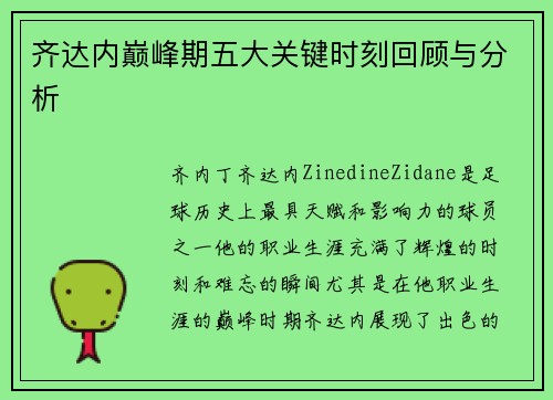 齐达内巅峰期五大关键时刻回顾与分析