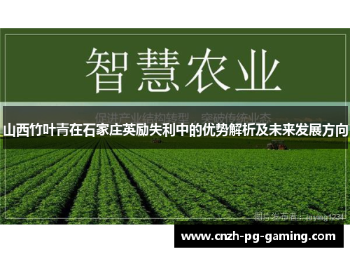 山西竹叶青在石家庄英励失利中的优势解析及未来发展方向